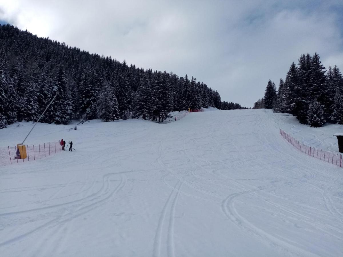 Comodo Alloggio Con Accesso Diretto Alle Piste Santa Caterina Valfurva Exterior foto